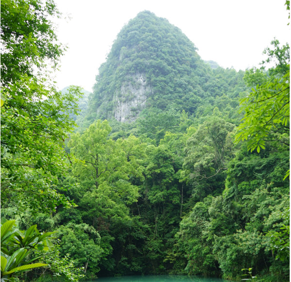 賞華夏大地，游多彩貴州-－2021年廣東博皓快樂行-2