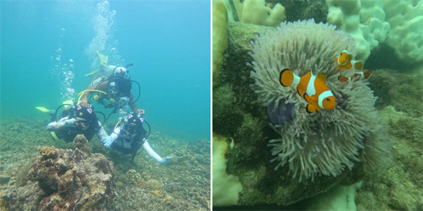 暢游碧海藍天，共筑團隊夢想—博皓沙巴風情之旅        -4